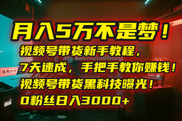 月入5万不是梦!视频号带货新手教程,7天速成,手把手教你赚钱!视频号…-才疏云网创