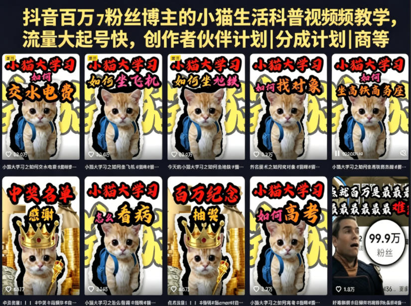 抖音百万粉丝博主的小猫生活科普视频教学，流量大起号快，创作者伙伴计划|分成计划|商单|收徒等-才疏云网创