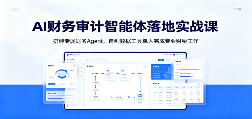 AI财务审计智能体落地实战课：搭建专属财务Agent，自制数据工具单人完成专业财税工作-才疏云网创