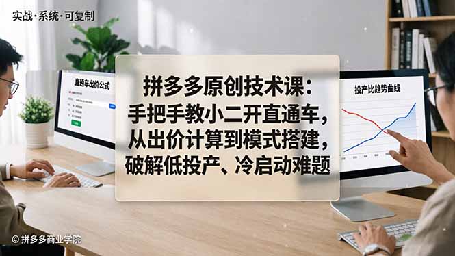 拼多多原创技术课：手把手教小二开直通车，从出价计算到模式搭建，破解低投产、冷启动难题-才疏云网创