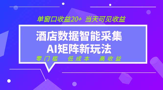 2026酒店数据采集ai智能矩阵新风口 低成本 高收益 当天见收益 单窗口20+-才疏云网创