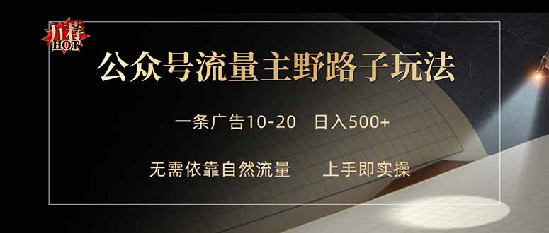 公众号流量主野路子玩法 单条广告10-20元 日入500+-才疏云网创