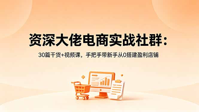 资深大佬电商实战社群：30篇干货+视频课，手把手带新手从0搭建盈利店铺-才疏云网创