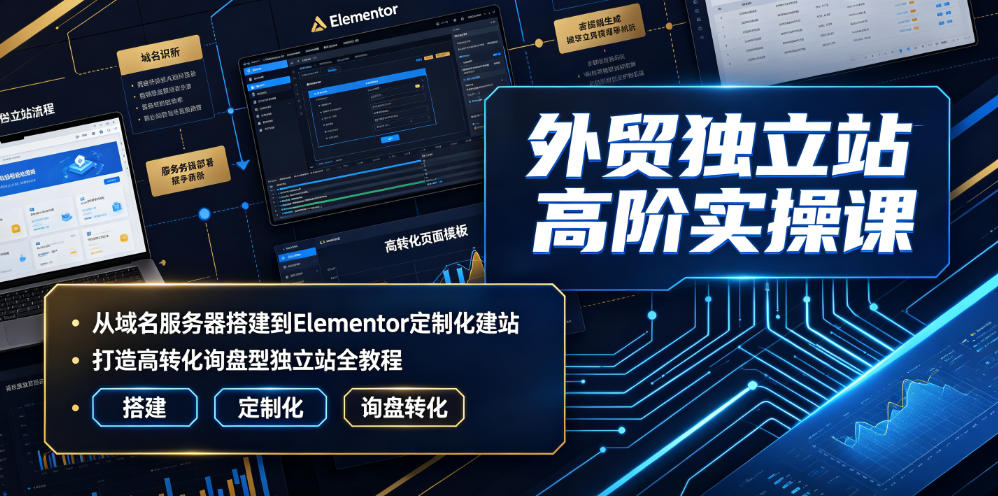 外贸独立站高阶实操课｜从域名服务器搭建到Elementor定制化建站，打造高转化询盘型独立站全教程-才疏云网创