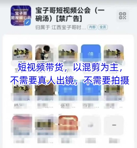 宝子哥头部团队短视频带货，以混剪为主，不需要真人出镜，不需要拍摄【更新26年3月】-才疏云网创