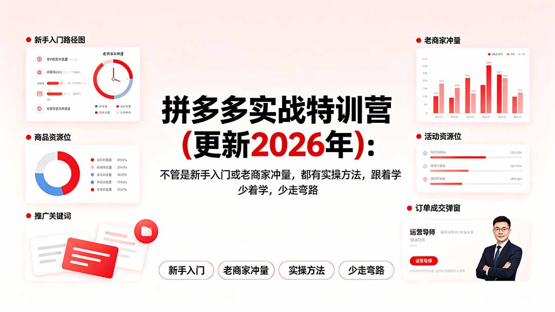 拼多多实战特训营(更新2026年-才疏云网创