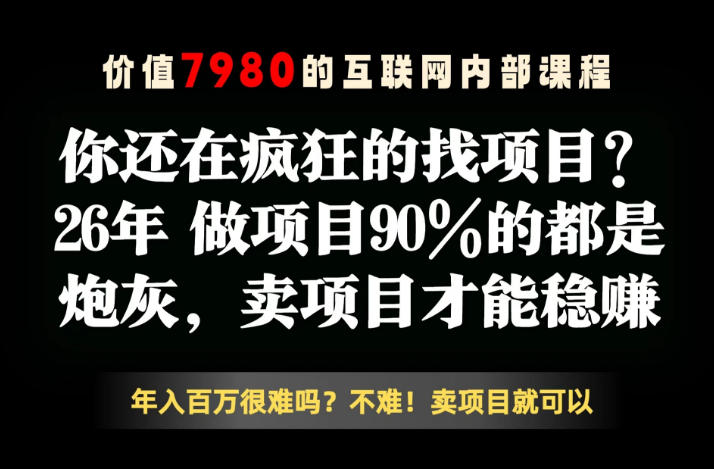 26年请不要疯狂的找项目了，卖项目远比你想象的暴利，你也可以月入10W+【揭秘】-才疏云网创