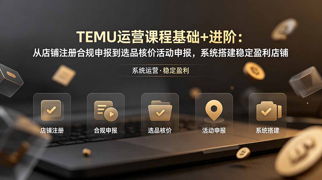 TEMU运营课程(基础+进阶-才疏云网创