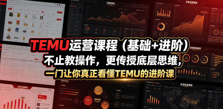 TEMU运营课程(基础+进阶)，不止教操作，更传授底层思维，一门让你真正看懂TEMU的进阶课-才疏云网创