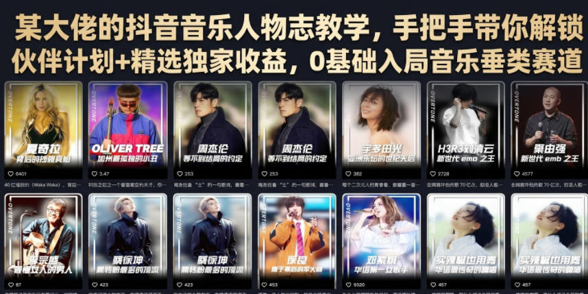 某大佬的抖音音乐人物志教学，手把手带你解锁伙伴计划+精选独家收益，0基础入局音乐垂类赛道-才疏云网创