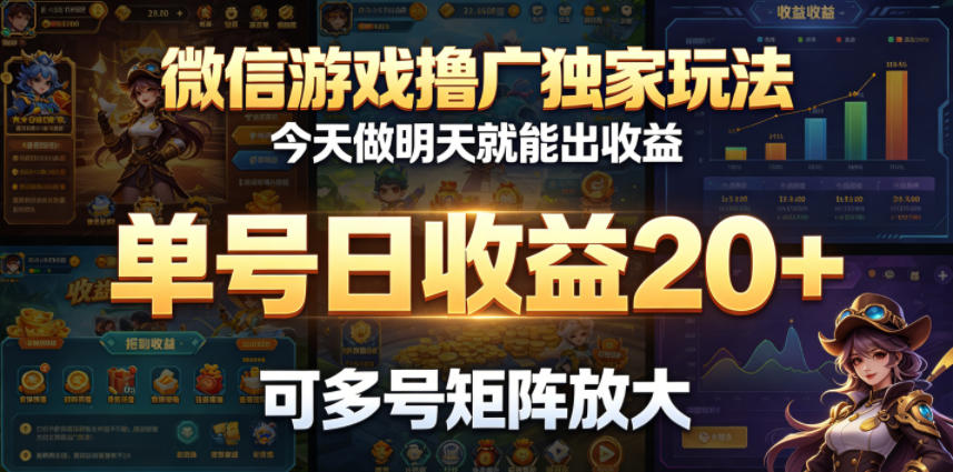 微信游戏撸广独家玩法，今天做明天就能出收益，单号日收益20+，可多号矩阵放大-才疏云网创