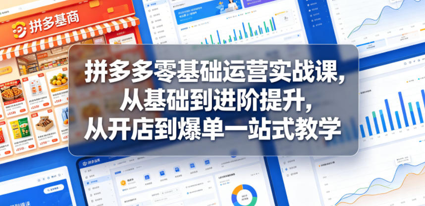 拼多多零基础运营实战课，从基础到进阶提升，从开店到爆单一站式教学-才疏云网创