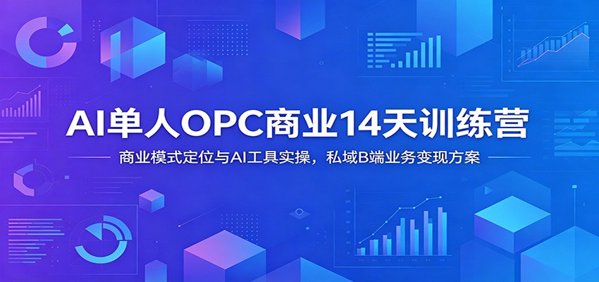AI单人OPC商业14天训练营：商业模式定位与AI工具实操，私域B端业务变现方案-才疏云网创