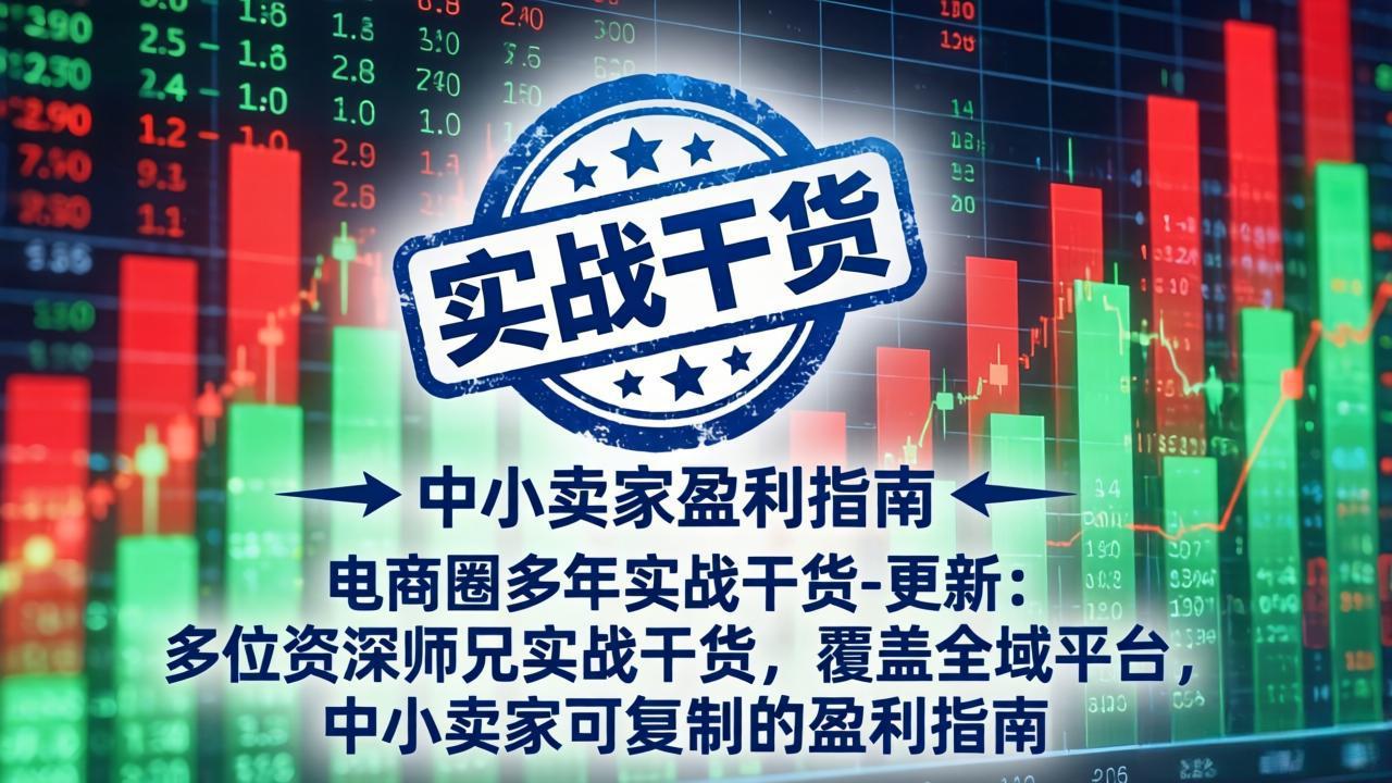 电商圈多年实战干货-更新4月:多位资深师兄实战干货,覆盖全域平台,中小卖家可复制的盈利指南-才疏云网创