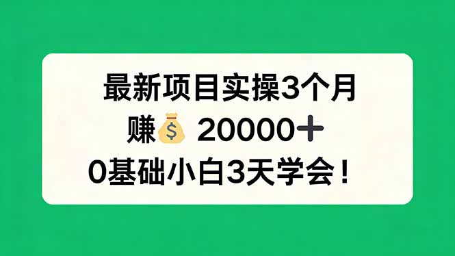 最新项目实操3个月，赚钱20000+，0基础小白3天学会！-才疏云网创