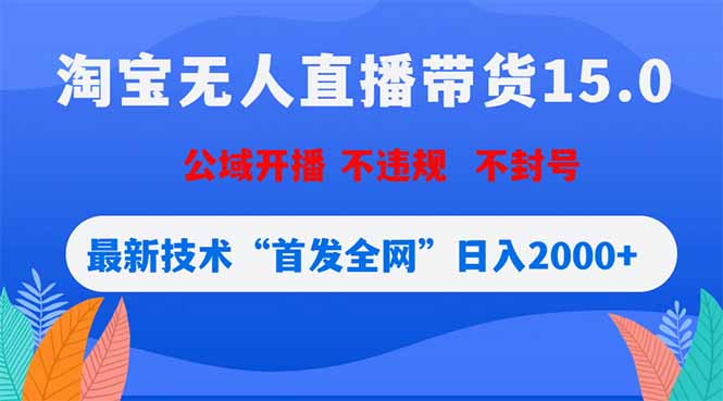 淘宝无人直播带货15.0，不封号，不违规，公域玩法，首发全网日入2000+-才疏云网创