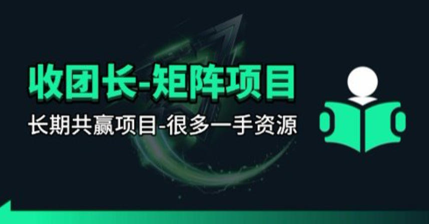 【团长合作】视频矩阵项目_招发手矩阵+剪辑师，共赢项目【揭秘】-才疏云网创